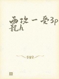 两攻一受3p双龙h