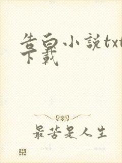 告白小说txt下载