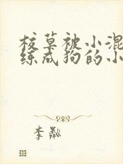 校草被小混混训练成狗的小说