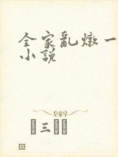 全家乱炖一锅烩小说