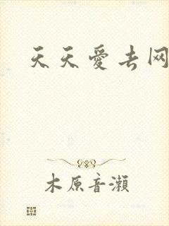天天爱去网