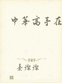 中华高手在异世