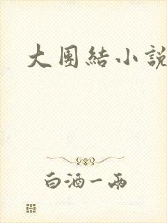 大团结小说阅读