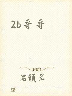 2b哥哥