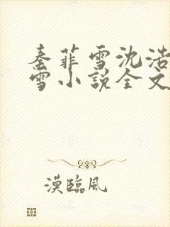 秦菲雪沈浩秦菲雪小说全文免费阅读求书