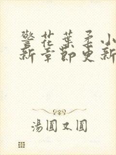 警花叶柔小说最新章节更新