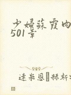 少妇苏霞肉欲第501章