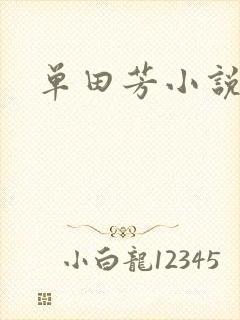 单田芳小说