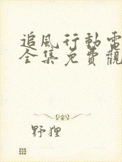 追风行动电视剧全集免费观看