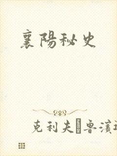 襄阳秘史