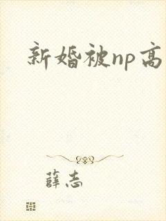 新婚被np高h