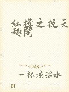 红楼之挽天倾笔趣阁