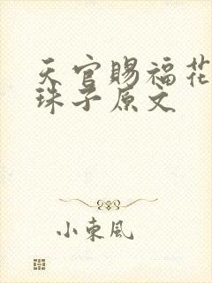 天官赐福花怜塞珠子原文