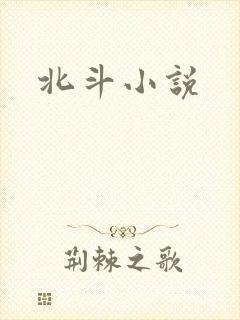 北斗小说