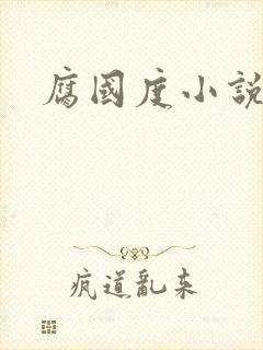 腐国度小说