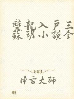 双龙入户三人行苏玥小说全文阅读