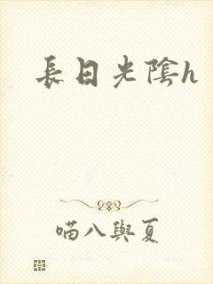 长日光阴h