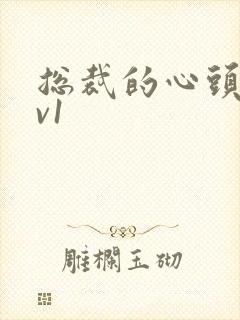 总裁的心头宝1v1