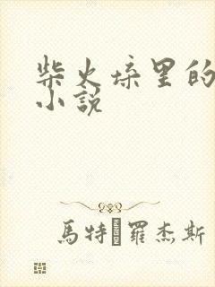 柴火垛里的疯狂小说