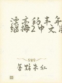 漂亮的丰年经的继拇2中文版