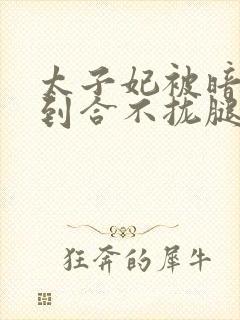 太子妃被暗卫C到合不拢腿