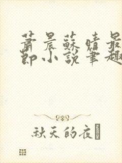 萧晨苏晴最新章节小说笔趣阁