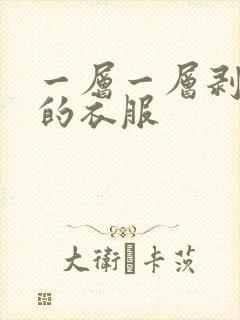 一层一层剥掉你的衣服