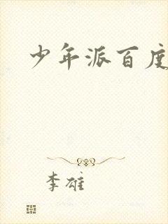 少年派百度百科