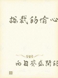 总裁的偷心娇妻