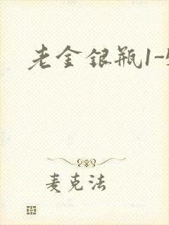 老金银瓶1-5