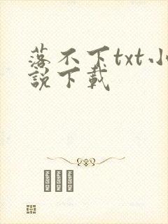 落不下txt小说下载