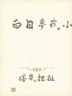白日梦我小说