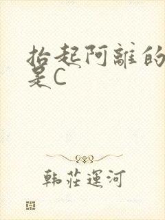 抬起阿离的腿就是C