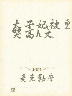 太子妃被皇上c哭高h文