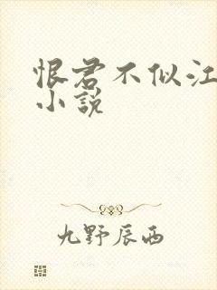 恨君不似江楼月小说