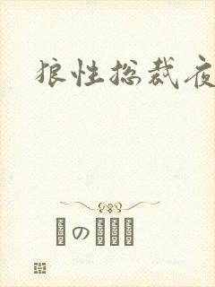 狼性总裁夜欢宠