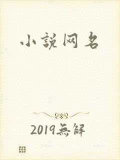 小说网名
