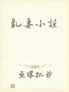 乱妻小说