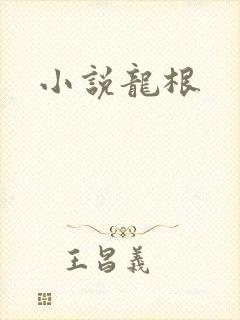 小说龙根