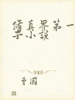 修真界第一病秧子小说