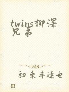 twins柳泽兄弟