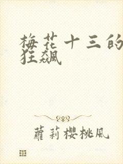 梅花十三的乳液狂飙
