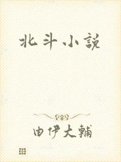 北斗小说