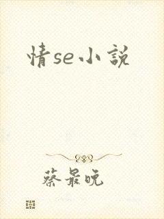 情se小说