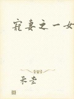 宠妻之一女二夫