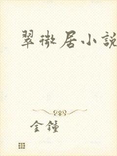 翠微居小说