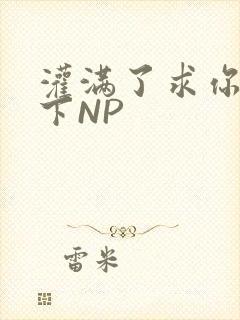 灌满了求你们停下NP