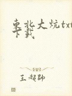 东北大炕txt下载
