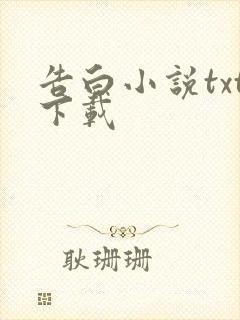 告白小说txt下载