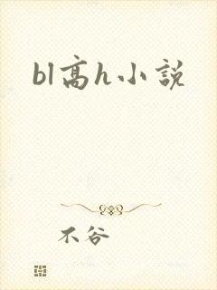 bl高h小说